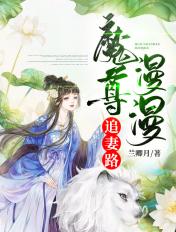 魔尊追妻路漫漫免费阅读